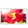 Samsung Galaxy S4